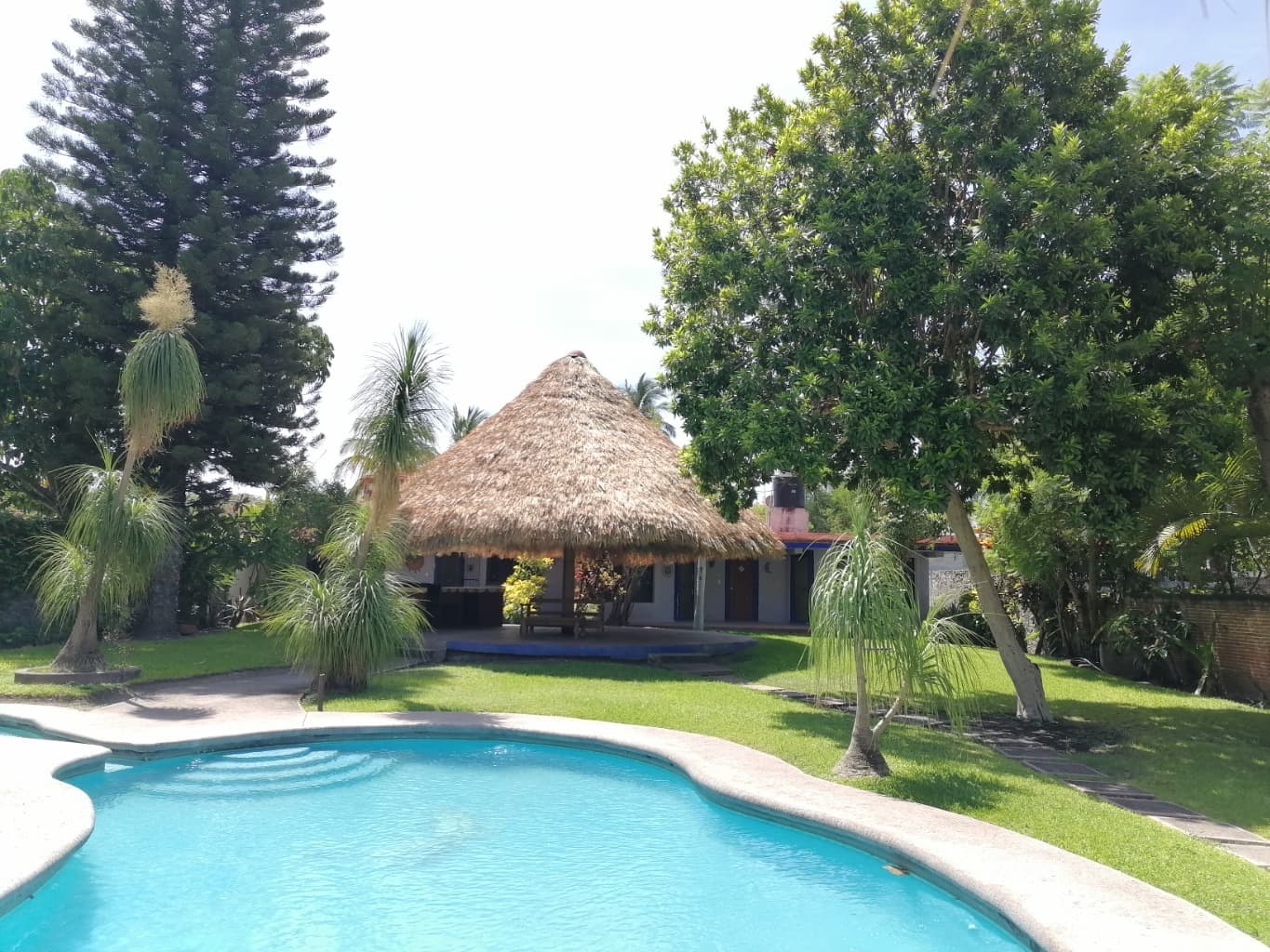 image-5