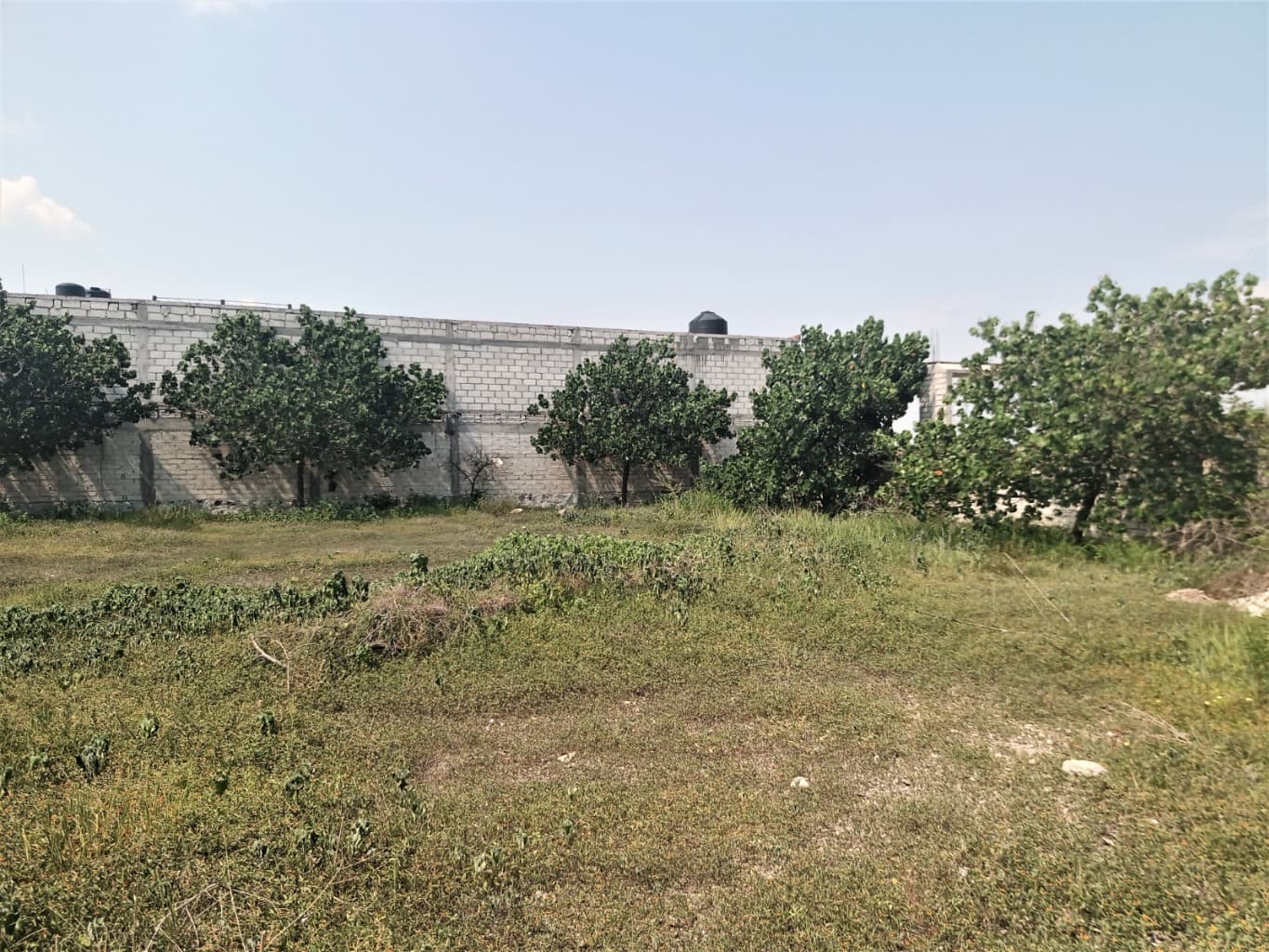 image-0