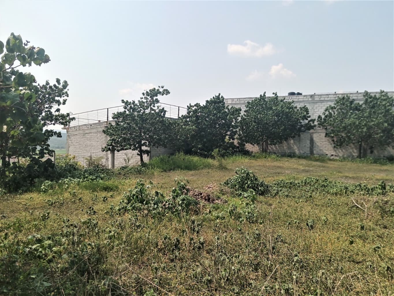 image-2