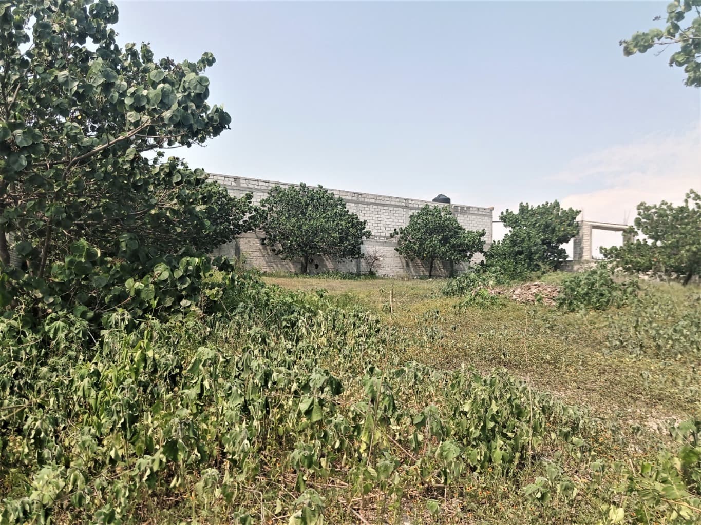 image-3