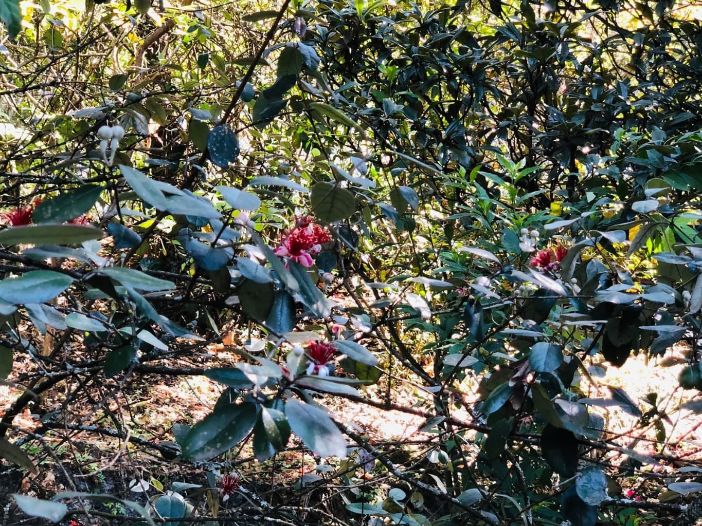 image-7