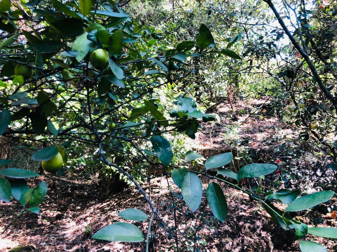 image-9