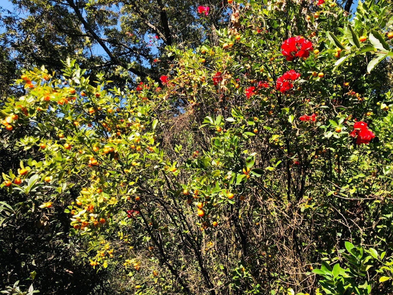 image-10