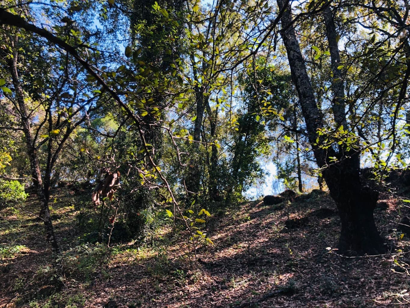 image-8
