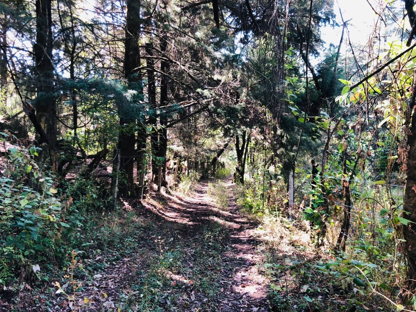 image-6