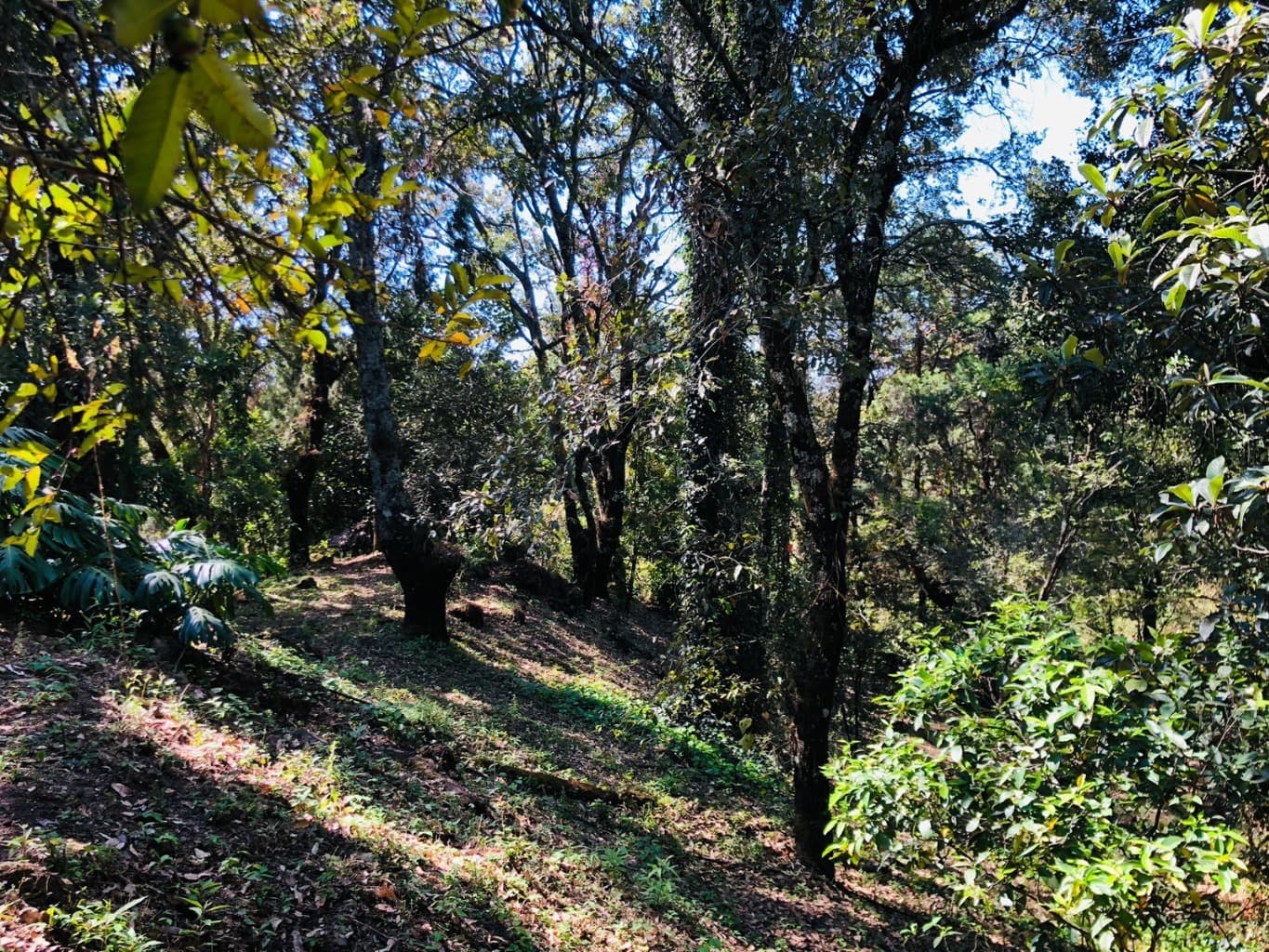 image-14