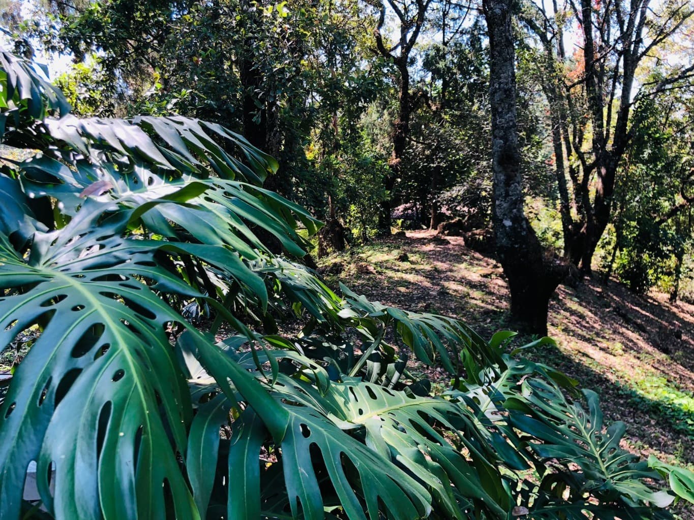 image-15