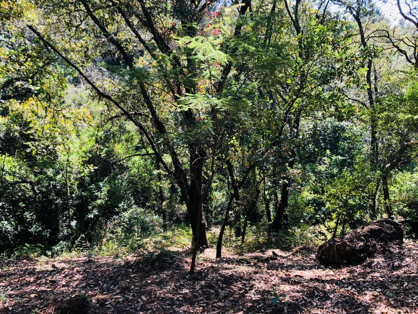 image-18