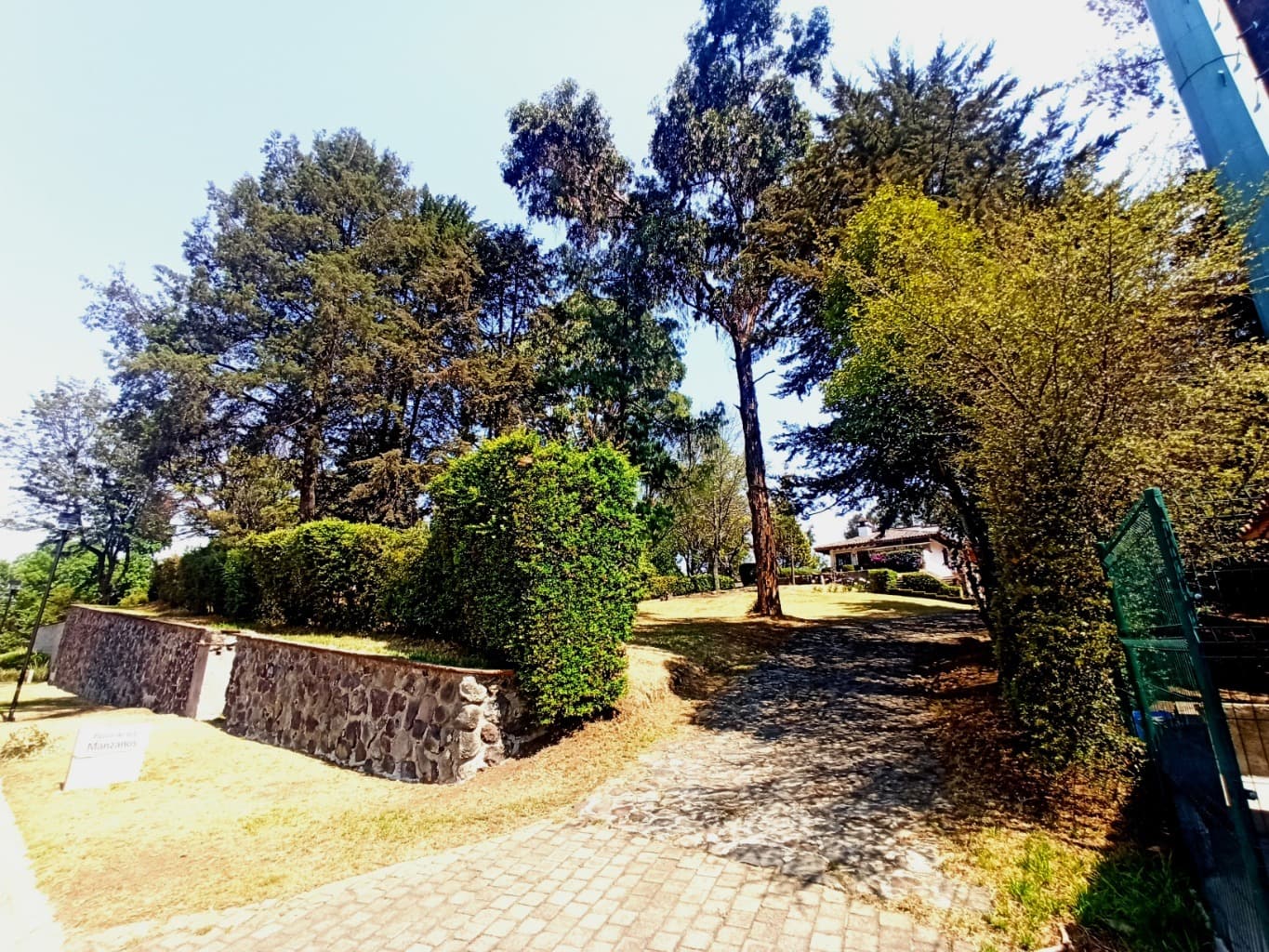 image-0