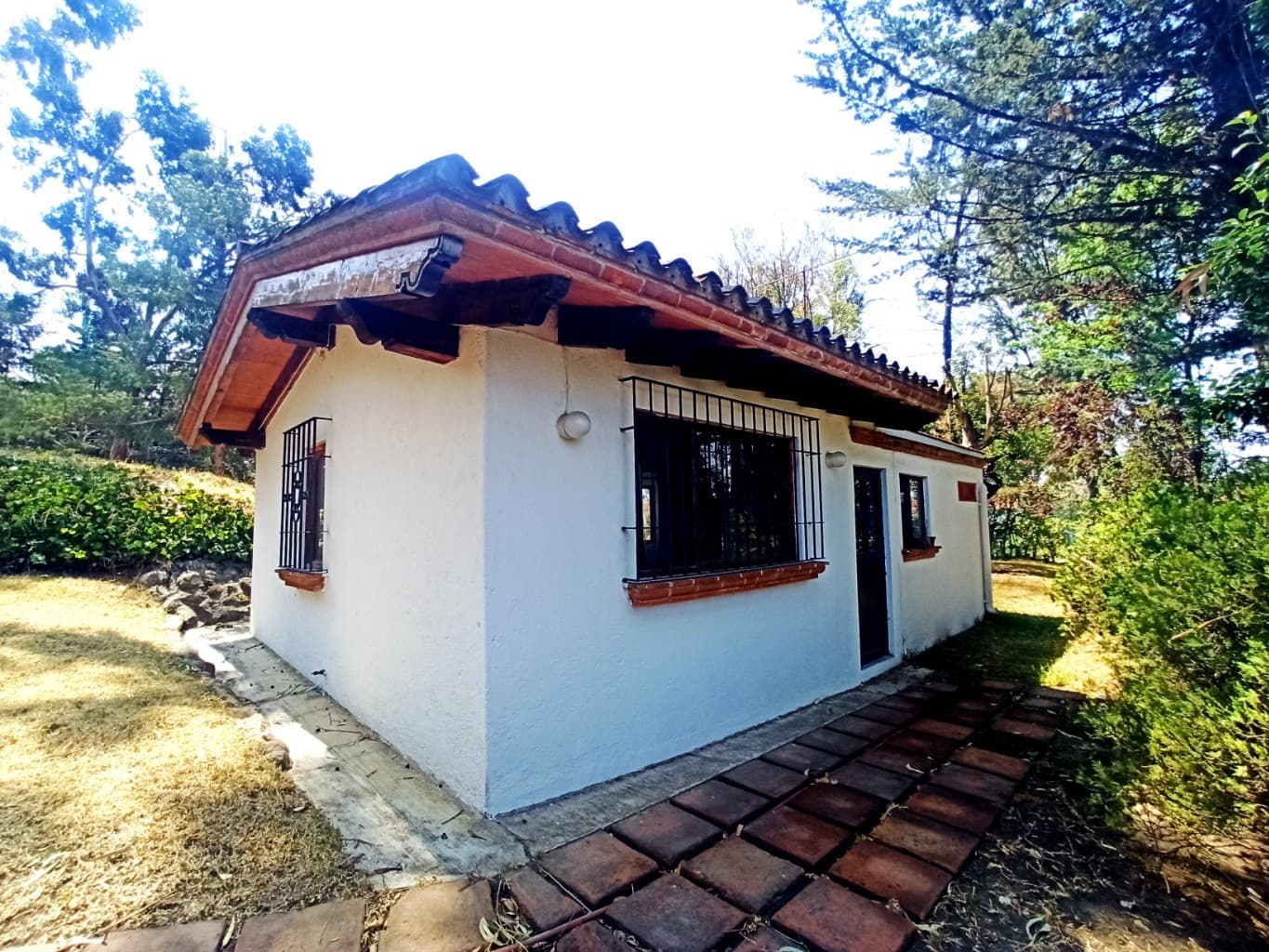 image-15