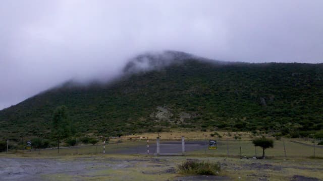 image-0