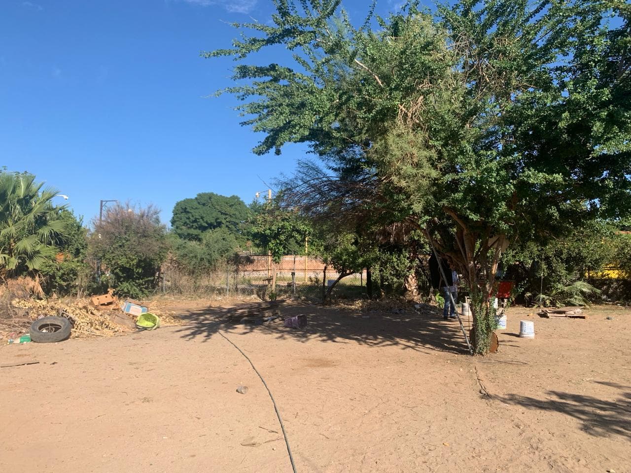 image-10