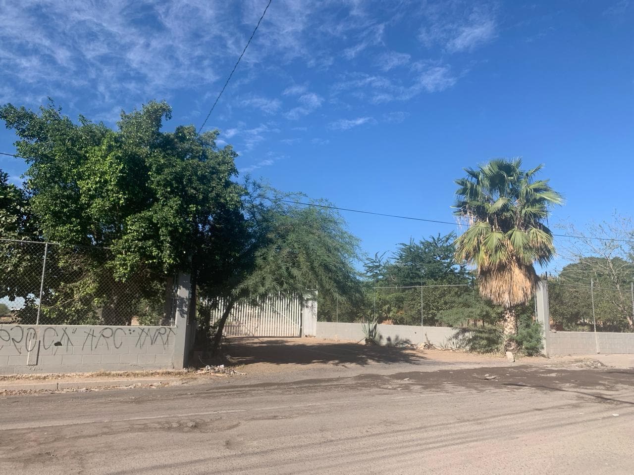 image-14