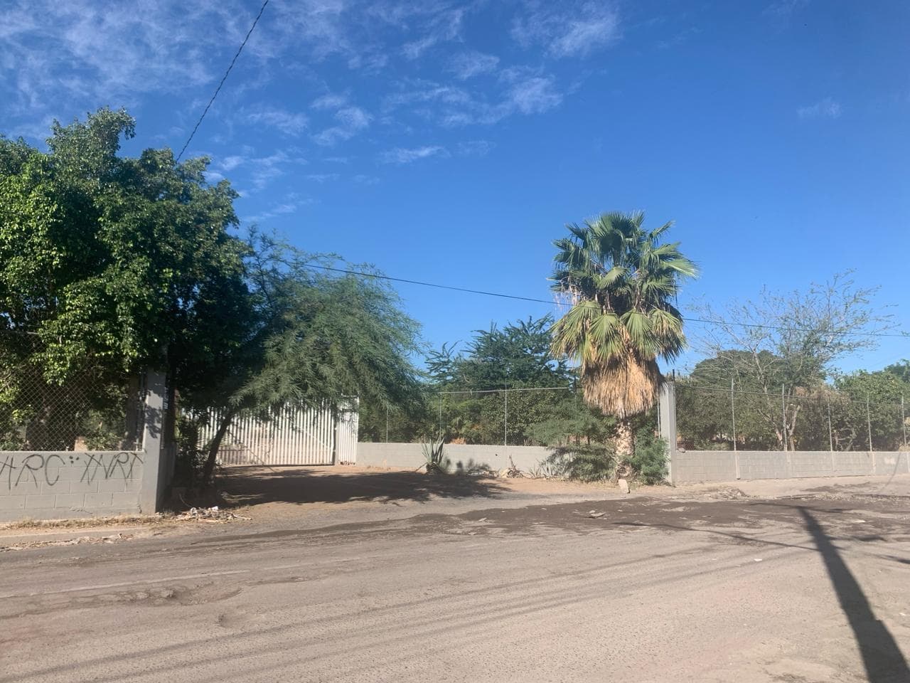image-16