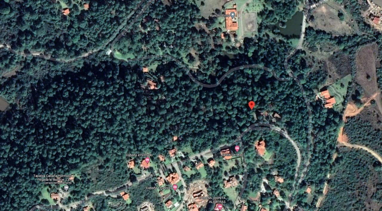 image-20
