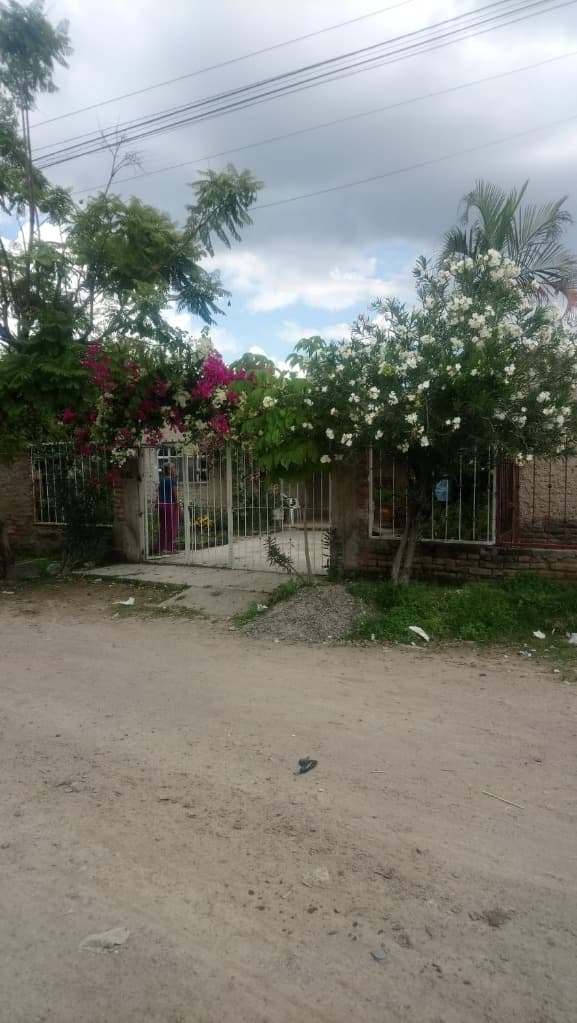 image-0