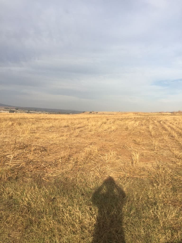 image-6