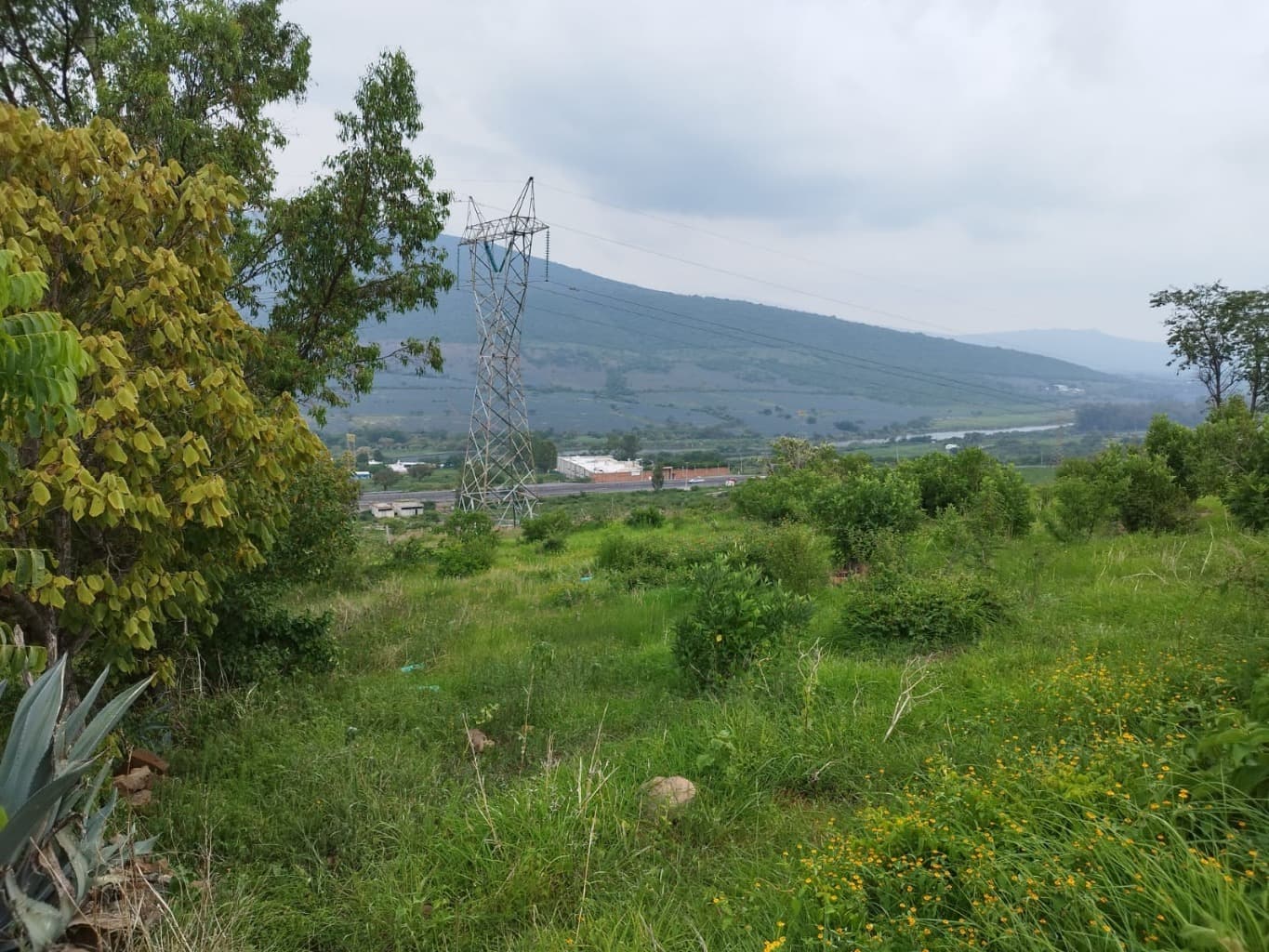 image-3
