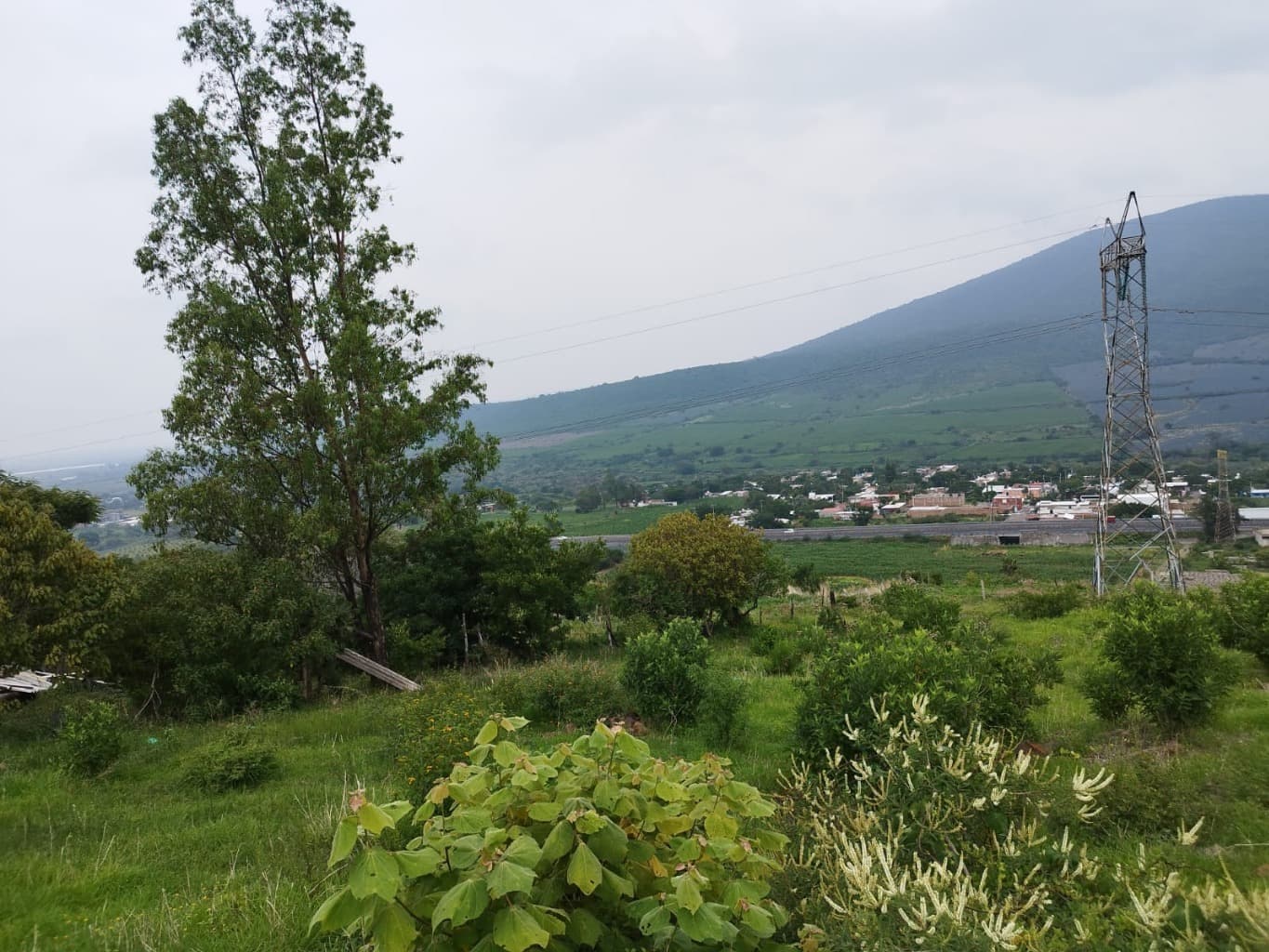 image-5