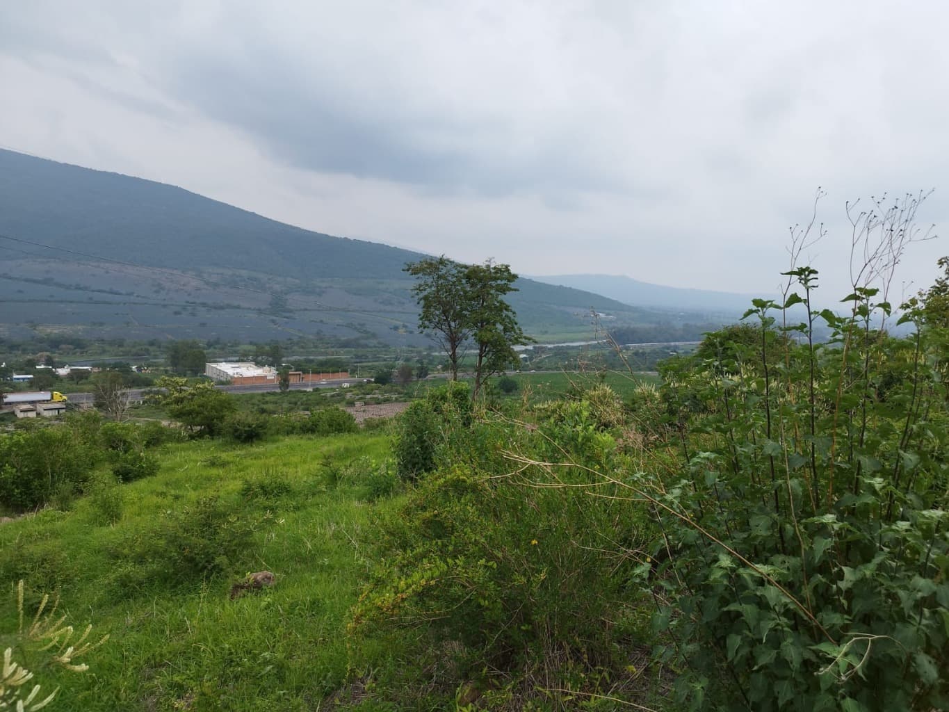 image-7