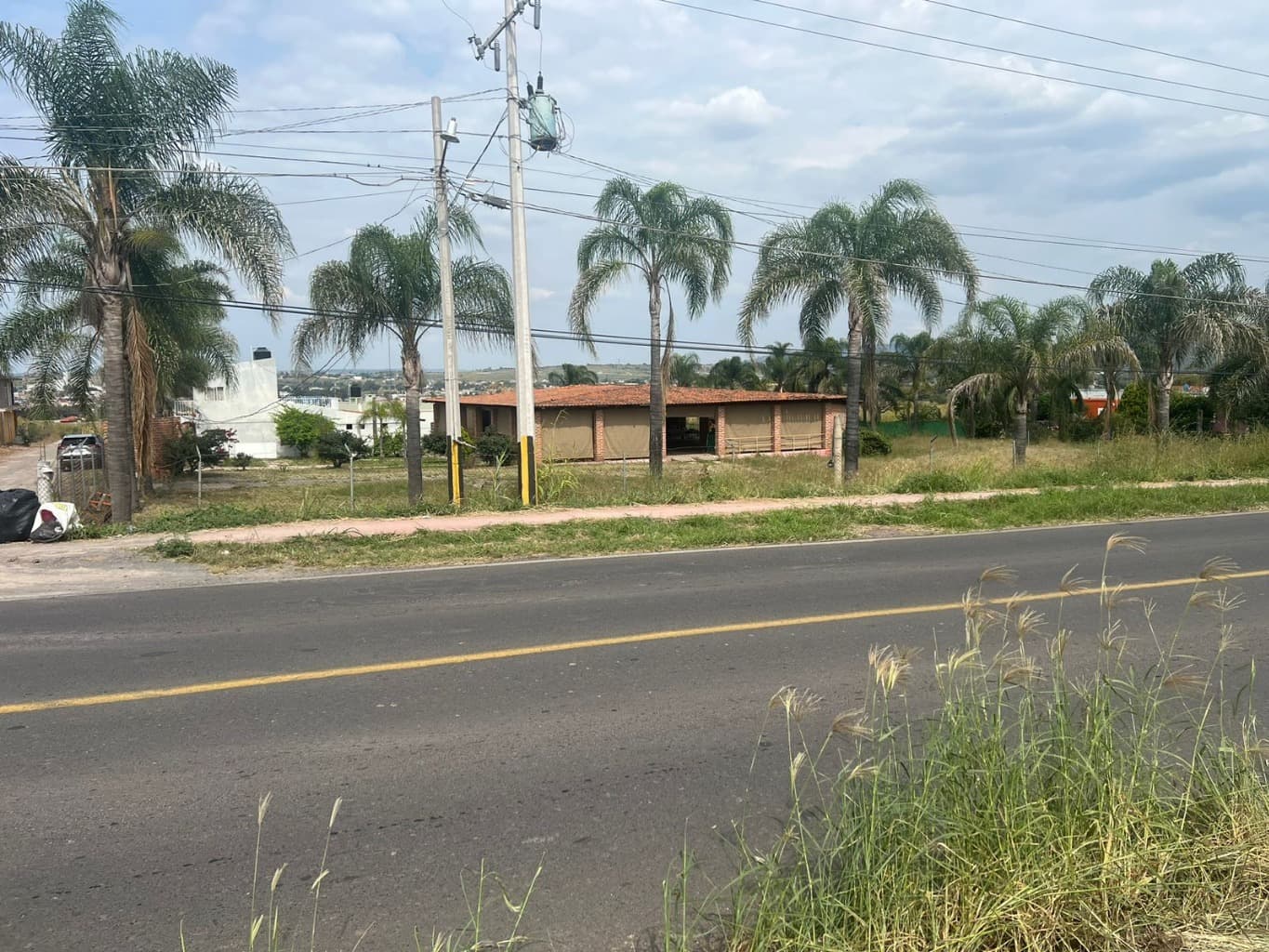 image-19