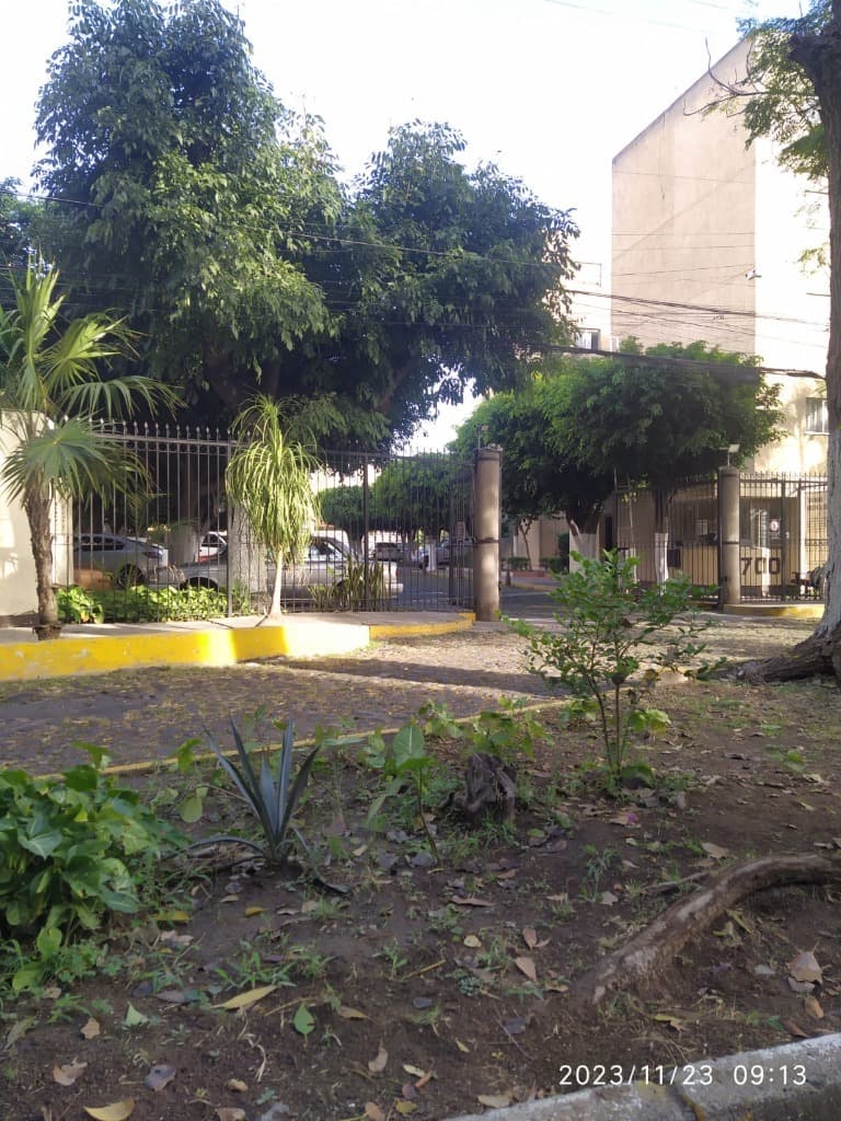 image-3