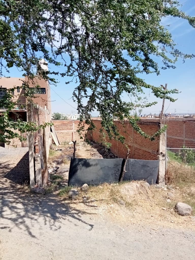 image-0