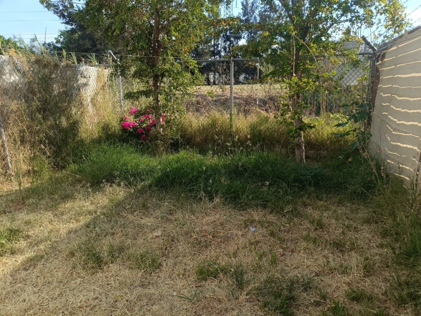 image-17