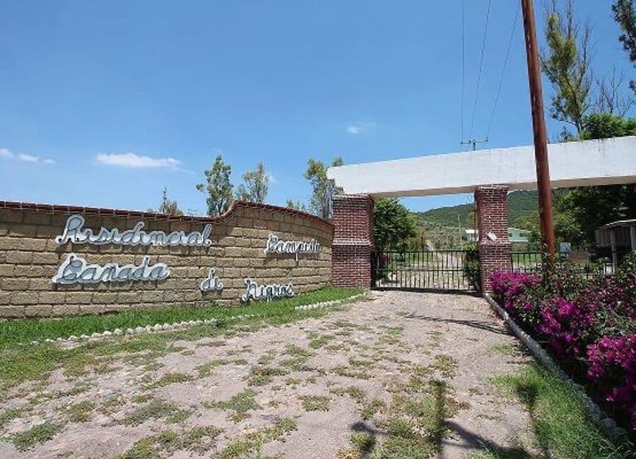 image-0