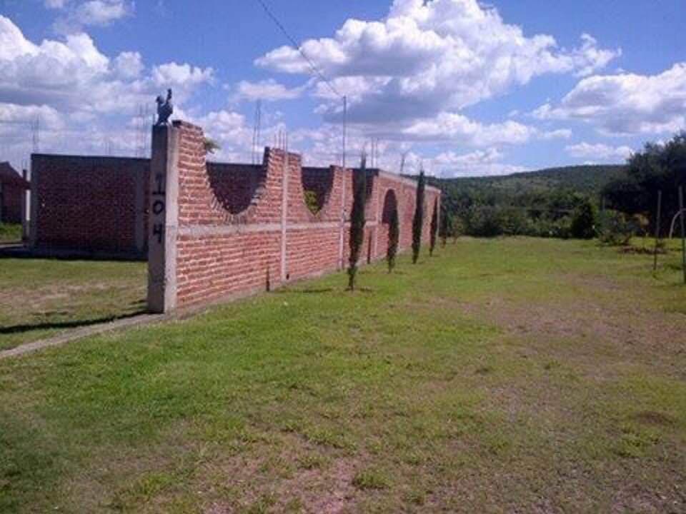 image-6