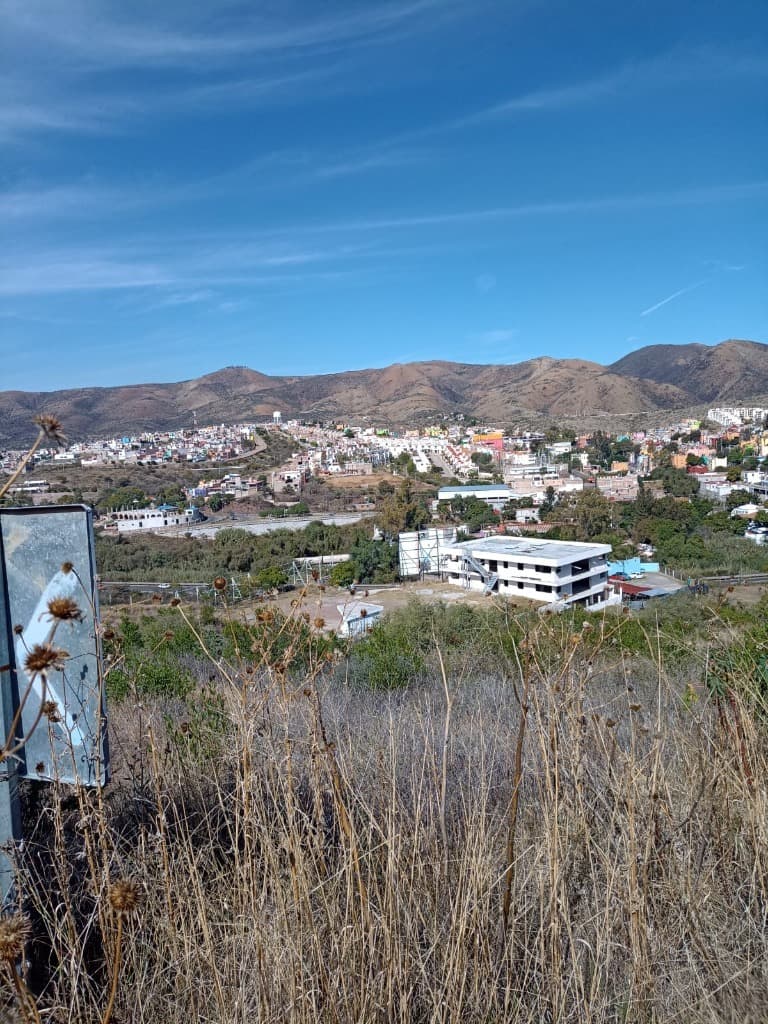 image-0