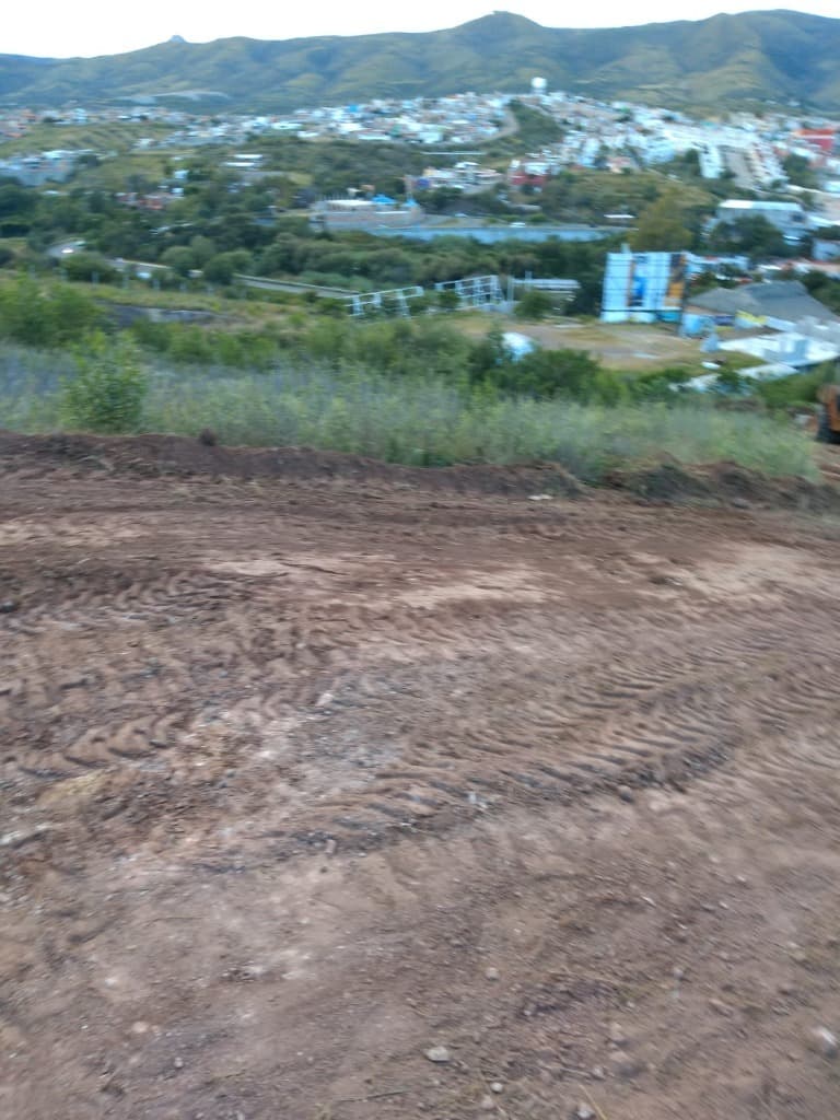 image-7