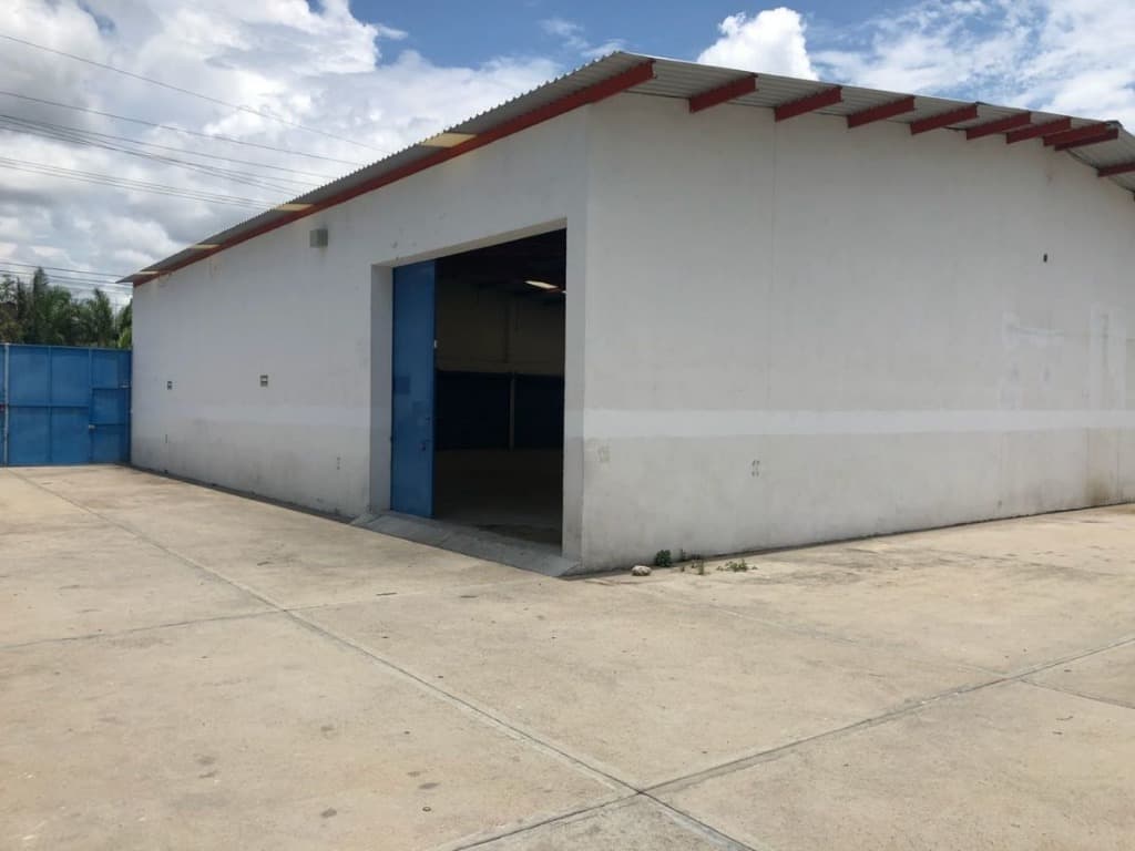 image-2