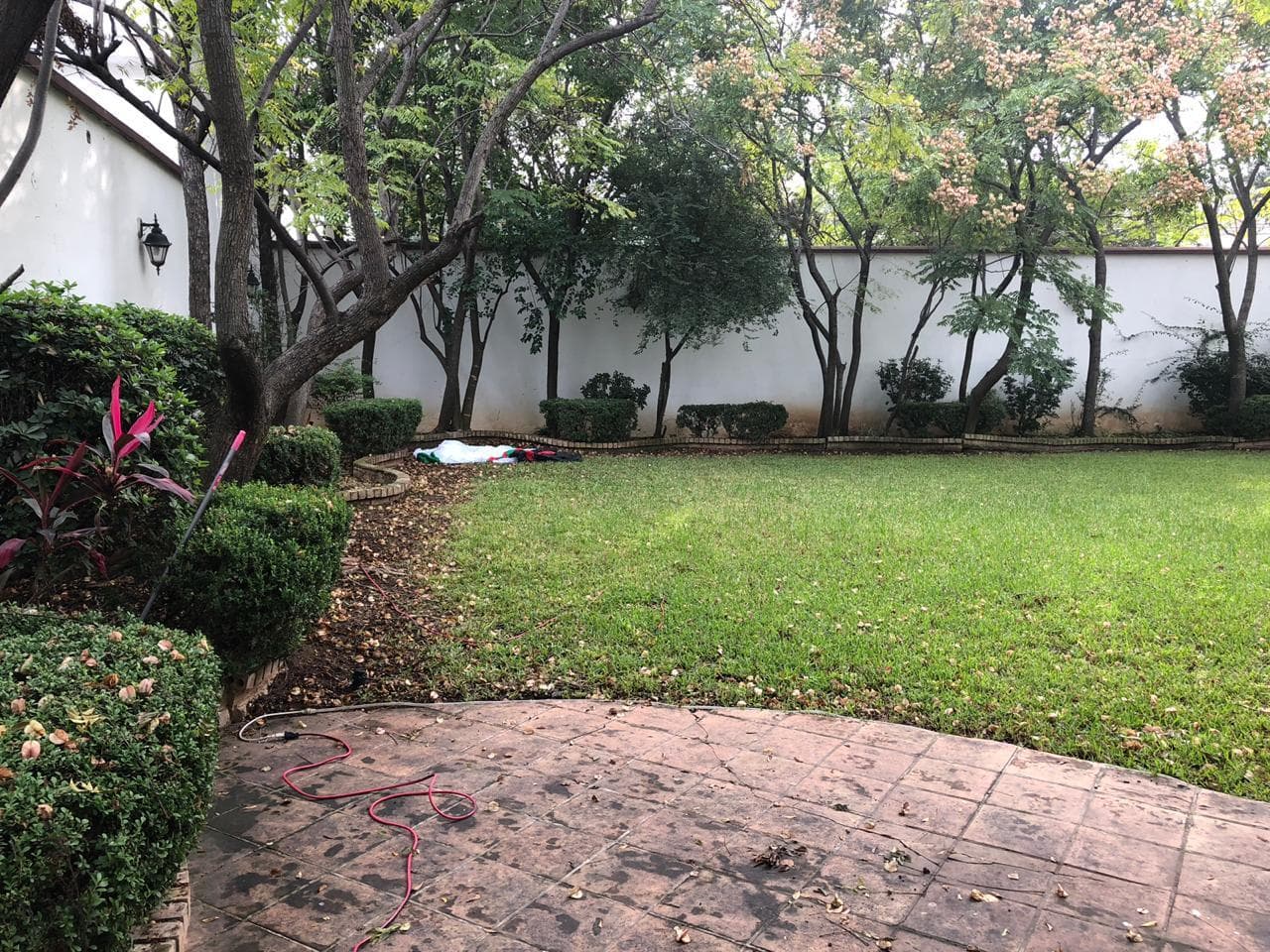 image-4