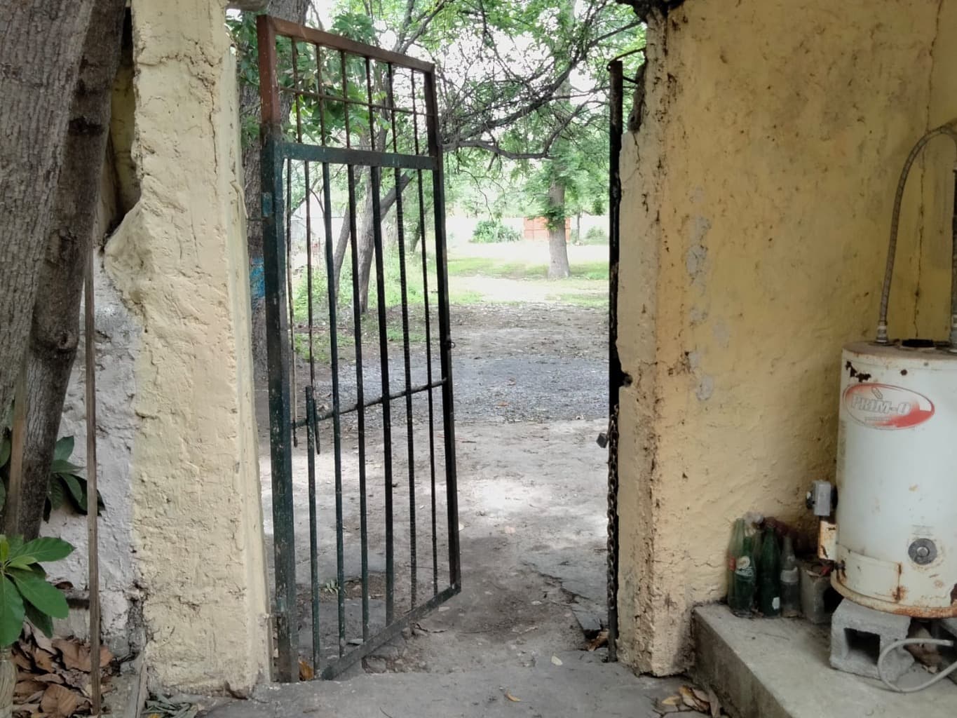 image-6
