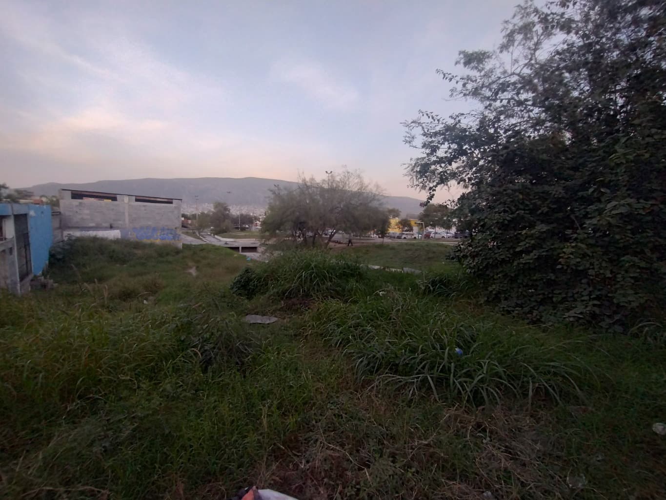 image-9