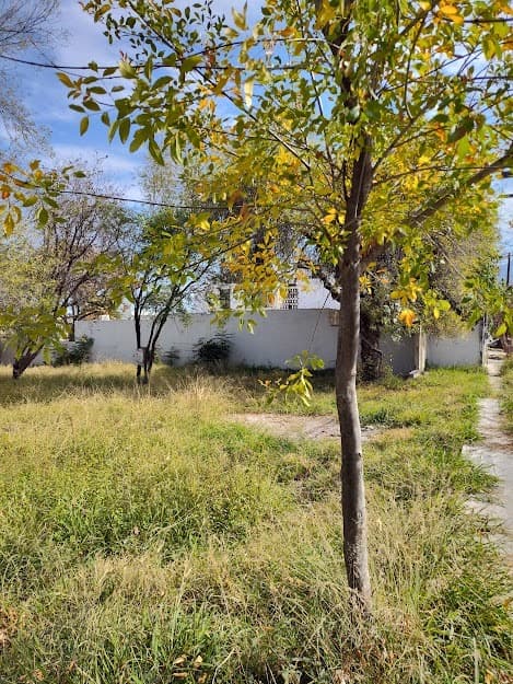 image-2
