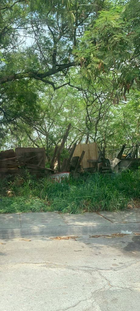 image-0