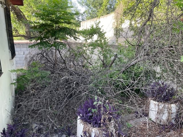 image-25