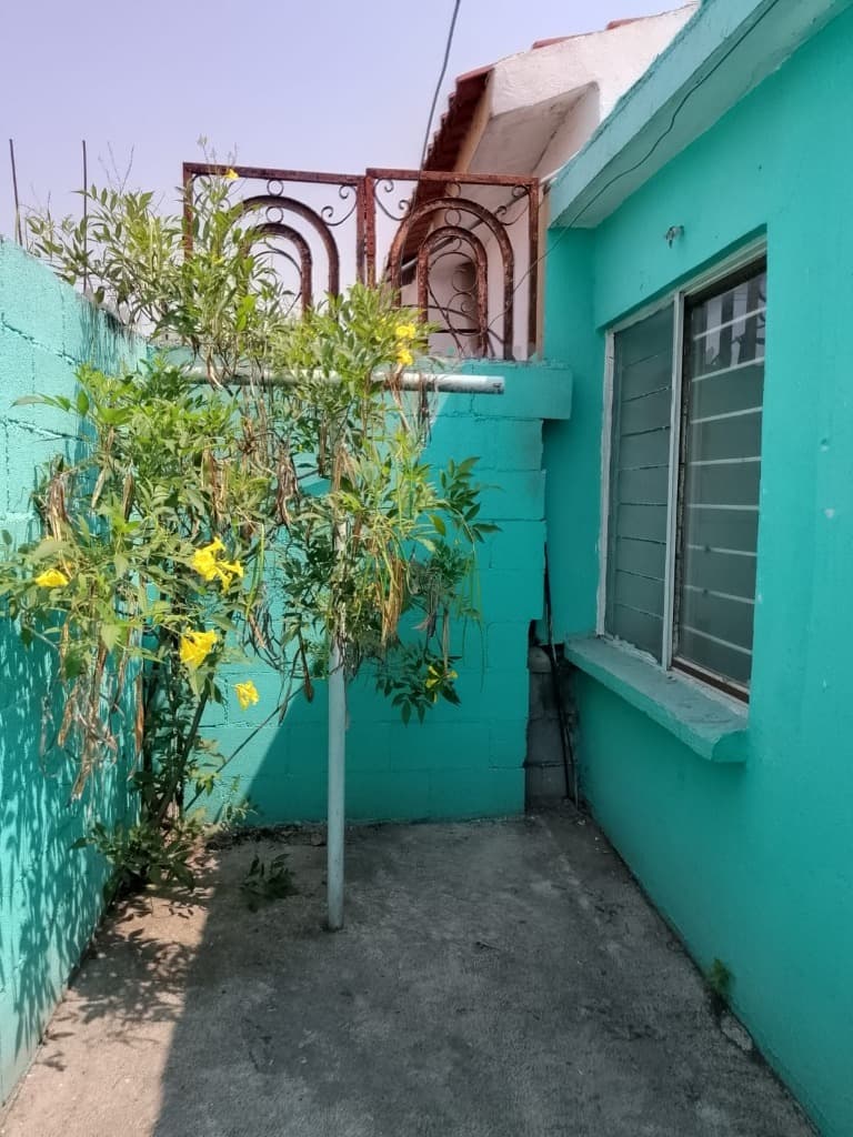 image-19