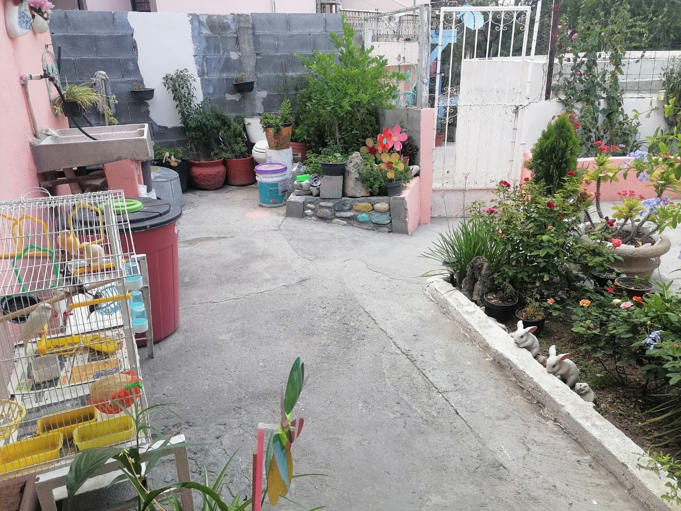 image-0