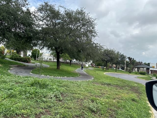 image-11