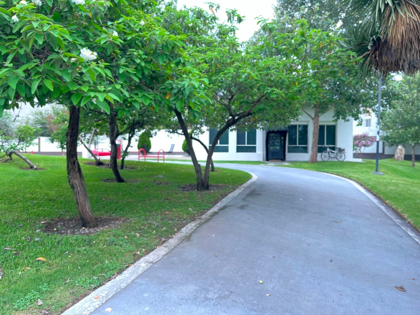 image-2