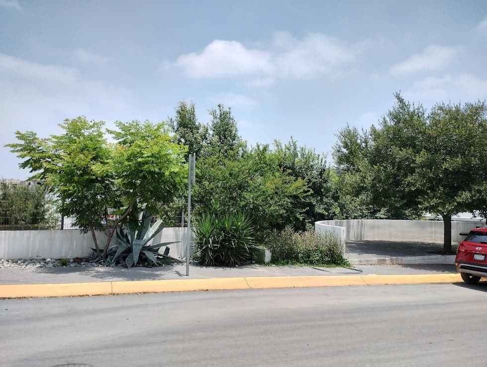 image-3
