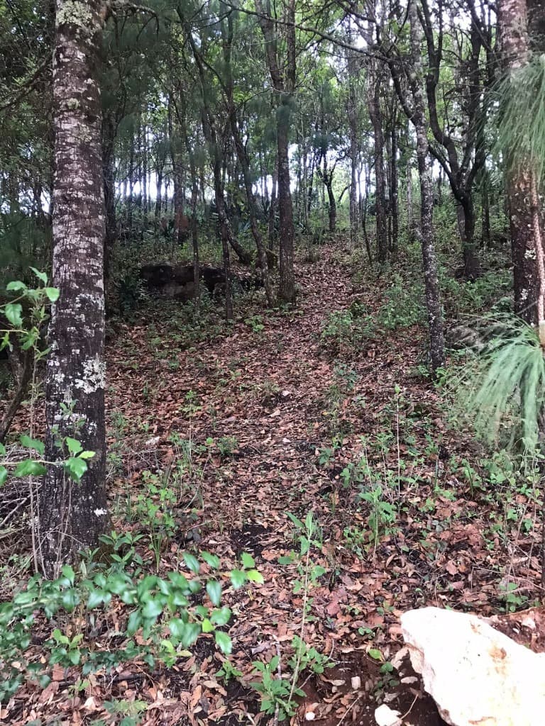 image-3