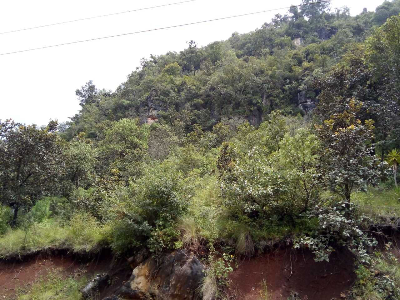 image-0