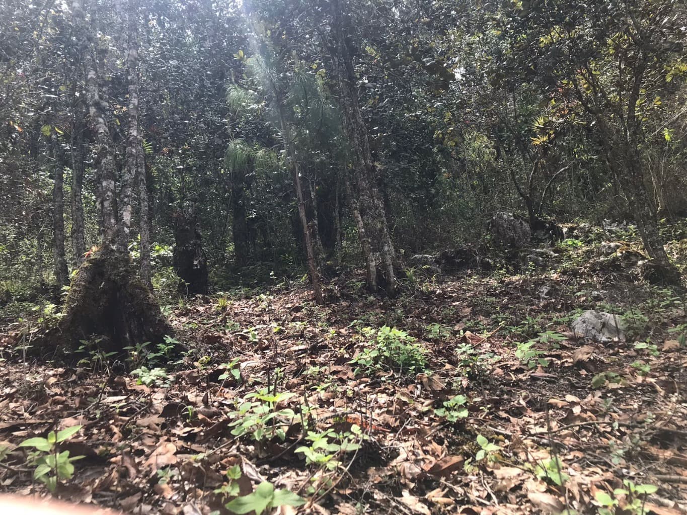 image-3