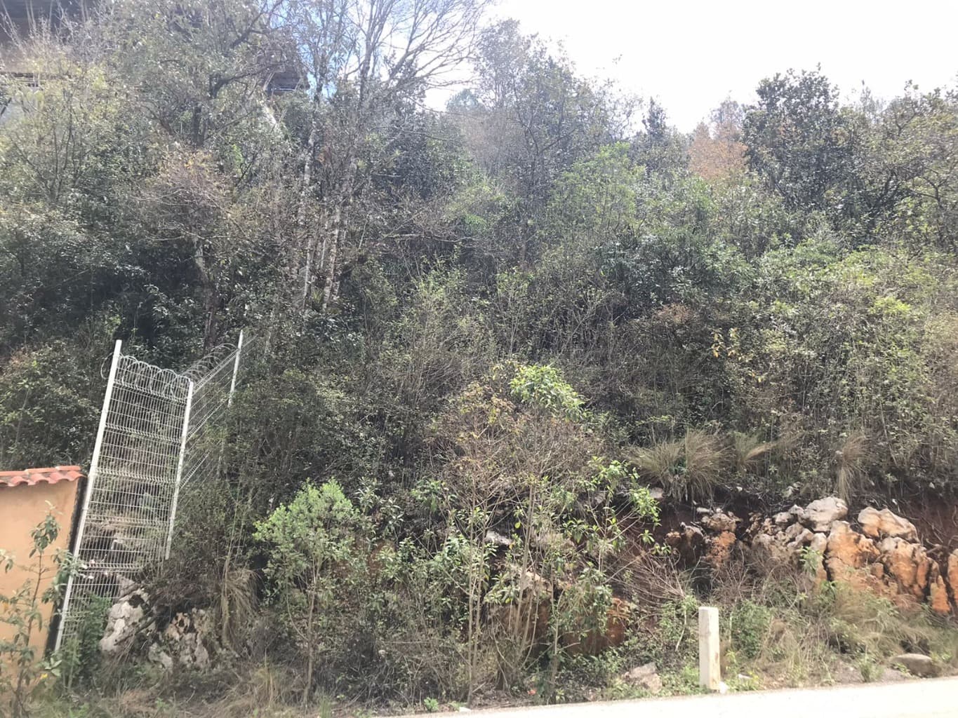 image-9