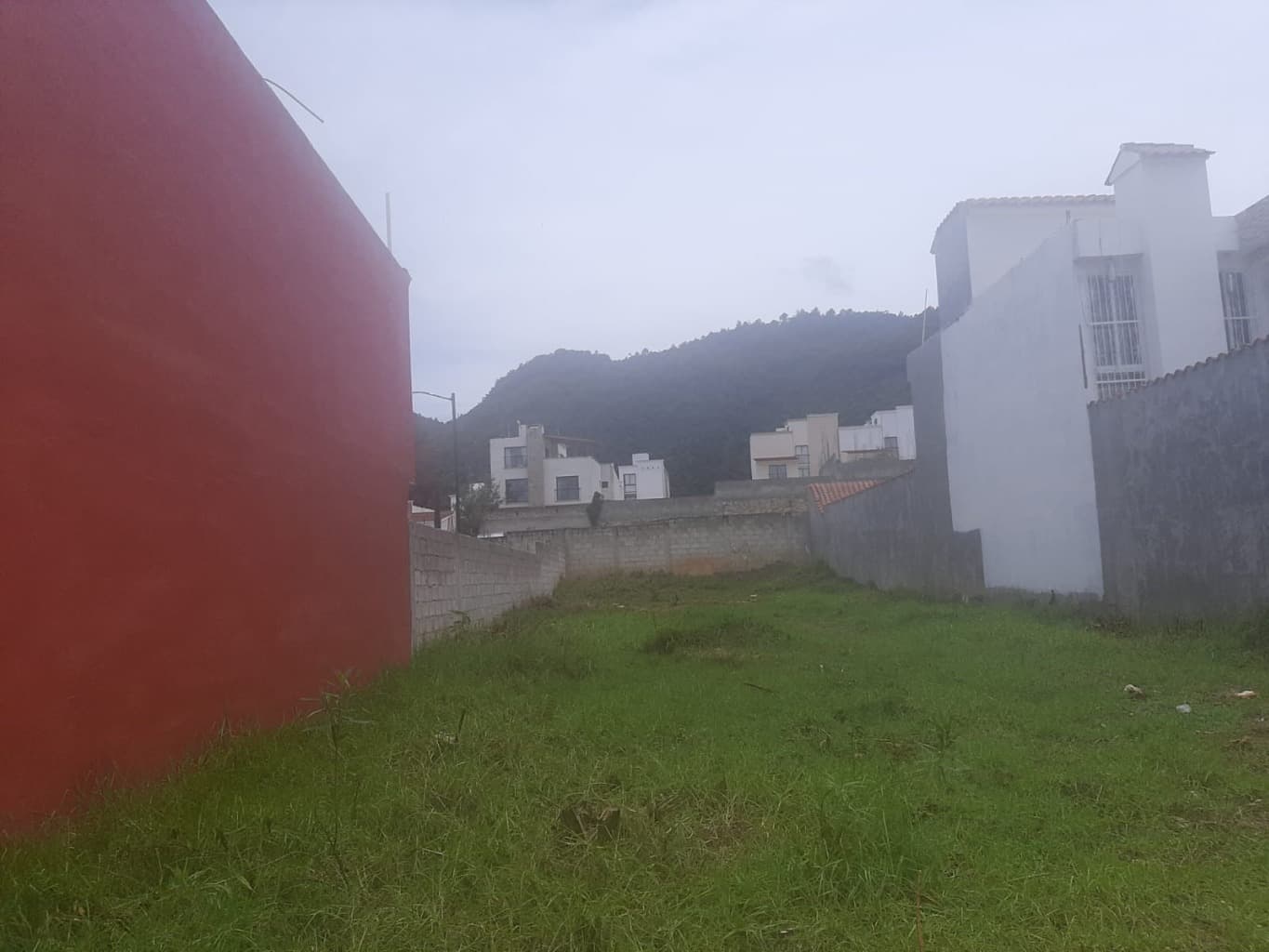 image-0