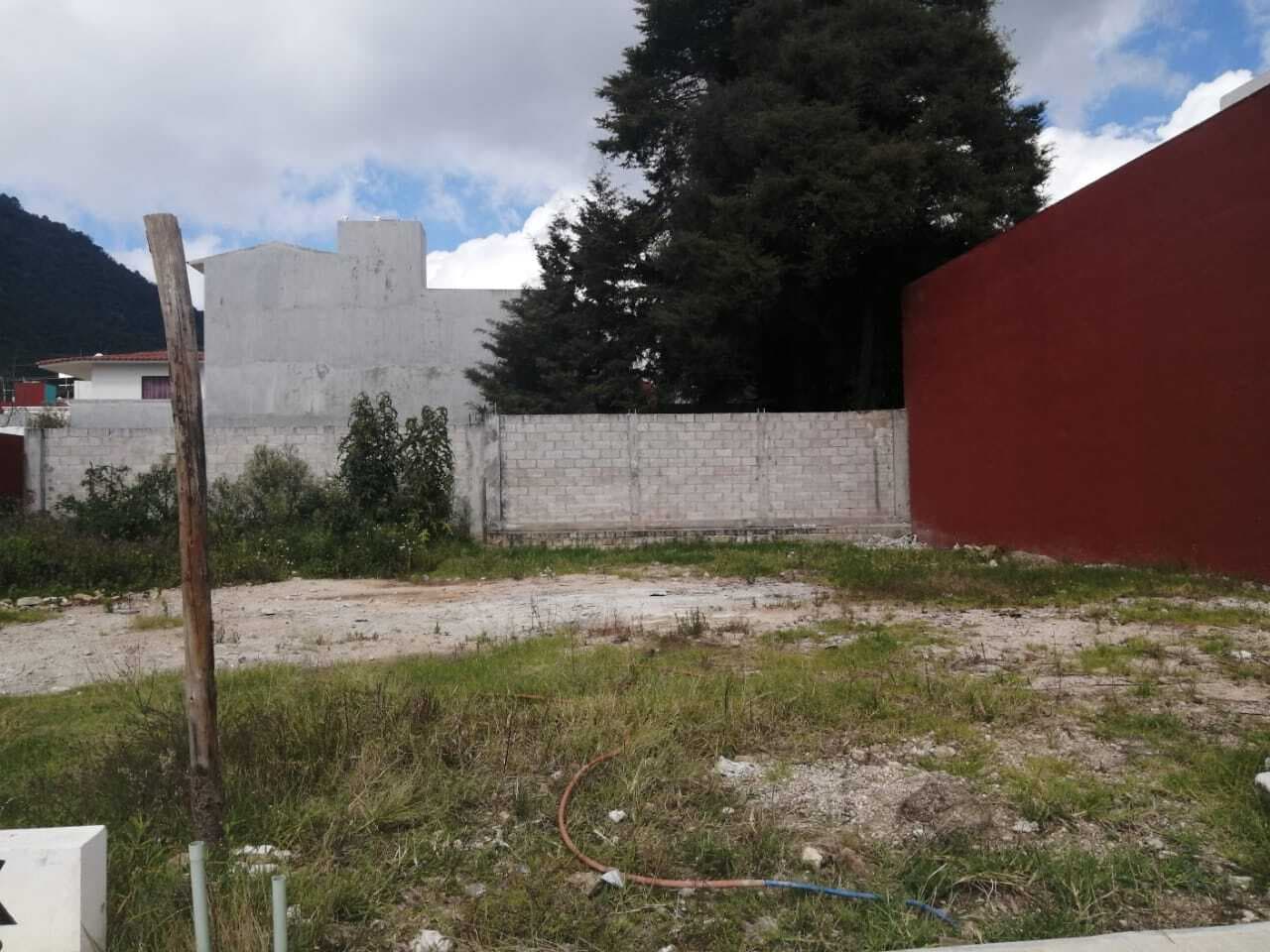 image-0